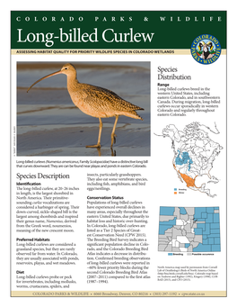 Long-Billed Curlew ASSESSING HABITAT QUALITY for PRIORITY WILDLIFE SPECIES in COLORADO WETLANDS