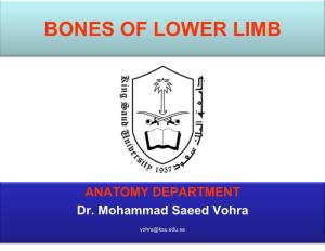 Bones of Lower Limb