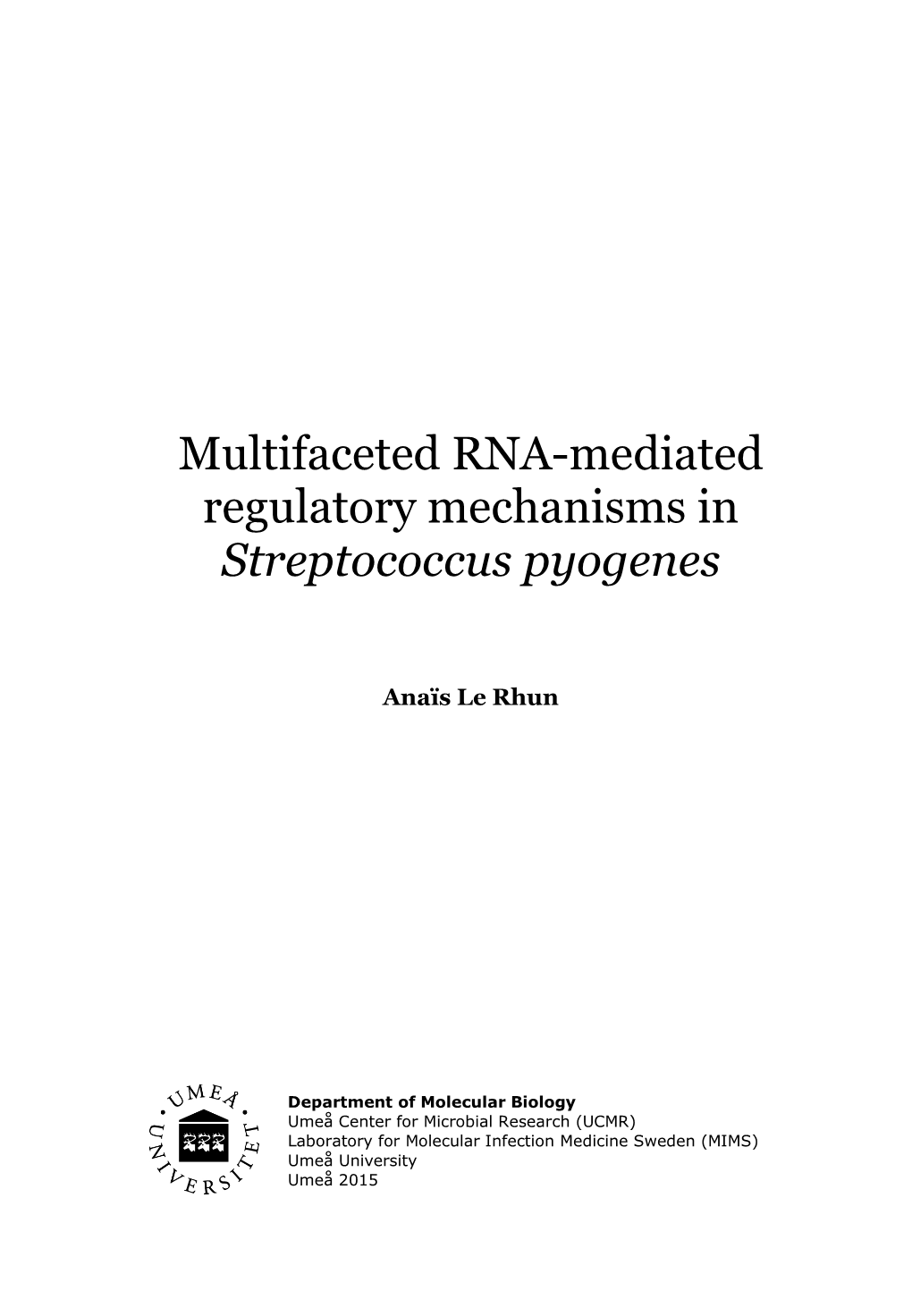 Multifaceted RNA-Mediated Regulatory Mechanisms in Streptococcus Pyogenes