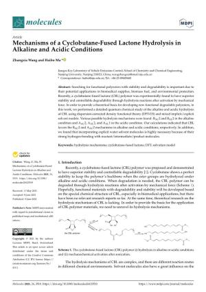Mechanisms of a Cyclobutane-Fused Lactone Hydrolysis in Alkaline and Acidic Conditions