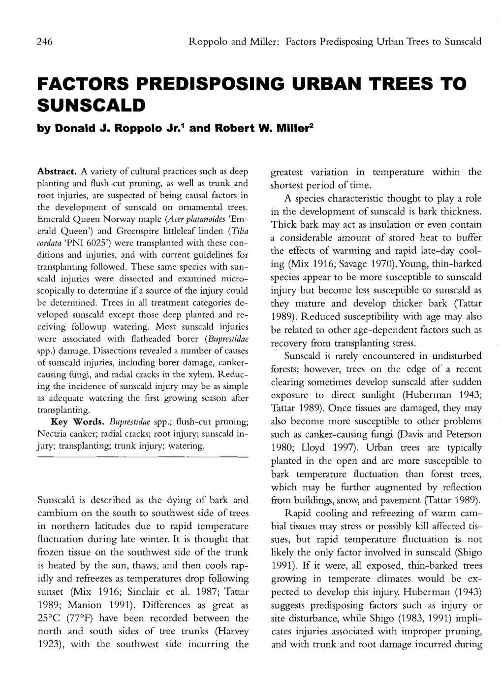 Factors Predisposing Urban Trees to Sunscald