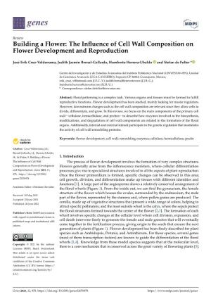 The Influence of Cell Wall Composition on Flower Development and Reproduction