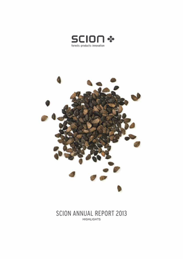 Scion Annual Report 2013