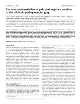 Common Representation of Pain and Negative Emotion in the Midbrain Periaqueductal Gray