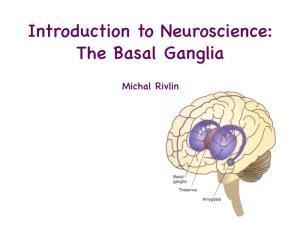 Introduction to Neuroscience: the Basal Ganglia