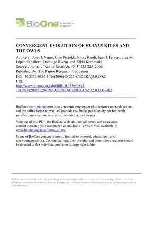 CONVERGENT EVOLUTION of ELANUS KITES and the OWLS Author(S): Juan J