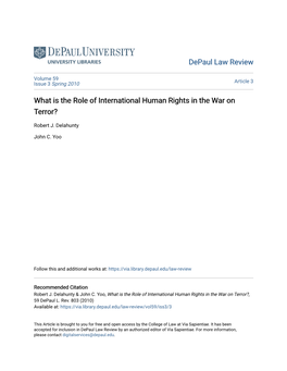 What Is the Role of International Human Rights in the War on Terror?