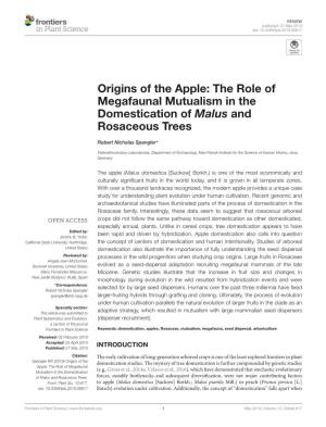 Origins of the Apple: the Role of Megafaunal Mutualism in the Domestication of Malus and Rosaceous Trees