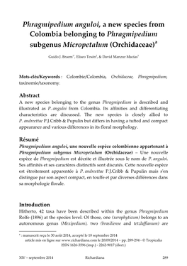 Phragmipedium Anguloi, a New Species from Colombia Belonging to Phragmipedium Subgenus Micropetalum (Orchidaceae)A