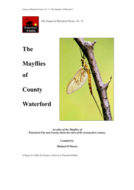 The Mayflies of County Waterford