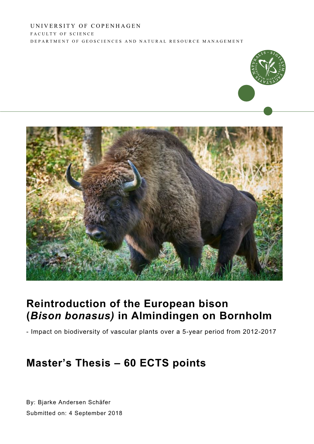 Reintroduction of the European Bison (Bison Bonasus) in Almindingen on Bornholm