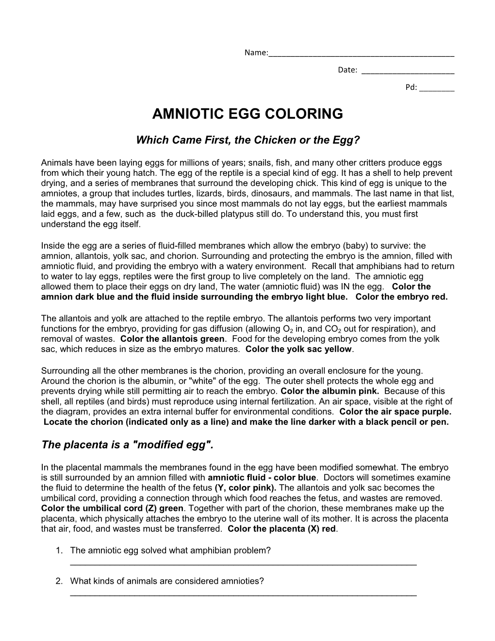 Amniotic Egg Coloring