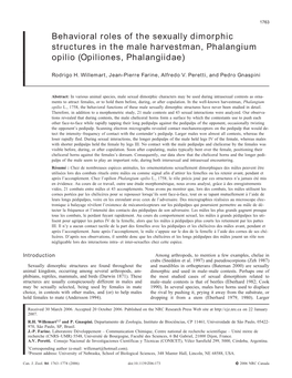 Behavioral Roles of the Sexually Dimorphic Structures in the Male Harvestman, Phalangium Opilio (Opiliones, Phalangiidae)