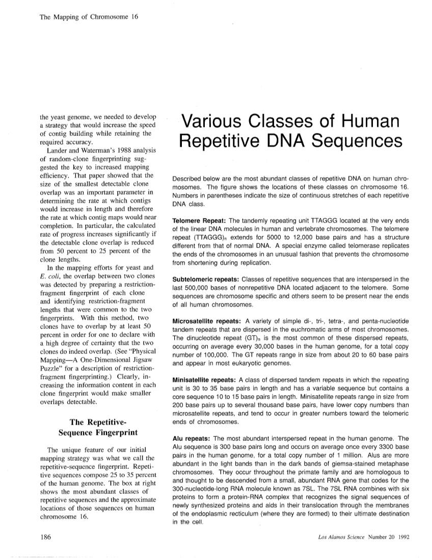 Various Classes of Human Repetitive DNA Sequences