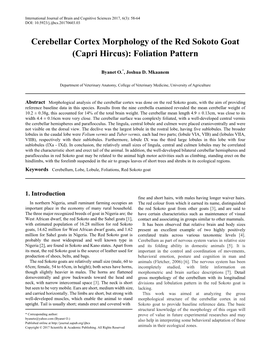 Cerebellar Cortex Morphology of the Red Sokoto Goat (Capri Hircus): Foliation Pattern