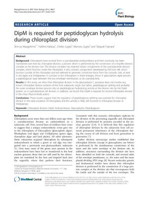 Dipm Is Required for Peptidoglycan