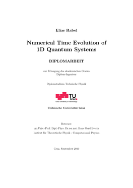 Numerical Time Evolution of 1D Quantum Systems