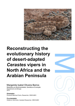 Reconstructing the Evolutionary History of Desert-Adapted Cerastes Vipers in North Africa and the Arabian Peninsula