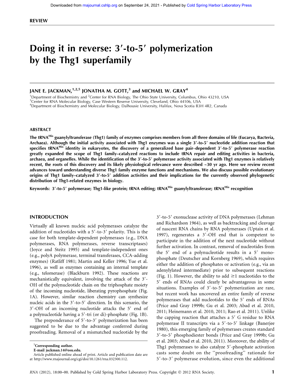 39-To-59 Polymerization by the Thg1 Superfamily