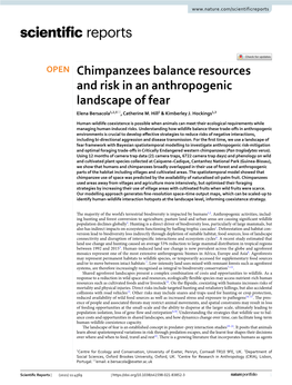 Chimpanzees Balance Resources and Risk in an Anthropogenic Landscape of Fear Elena Bersacola1,2,3*, Catherine M