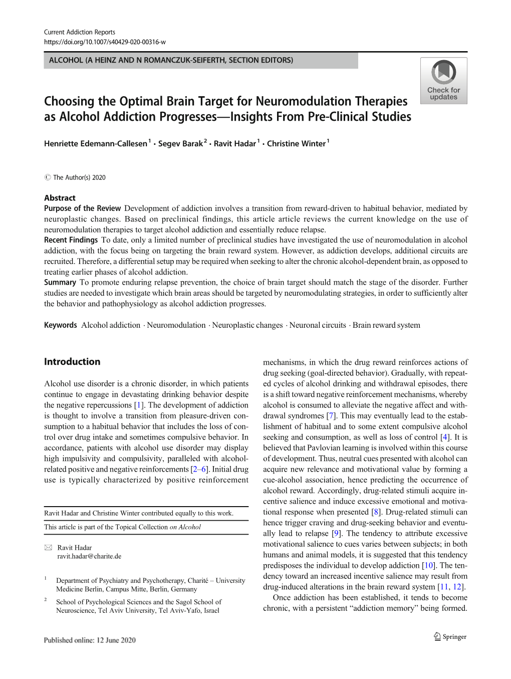 Choosing the Optimal Brain Target for Neuromodulation Therapies As Alcohol Addiction Progresses—Insights from Pre-Clinical Studies