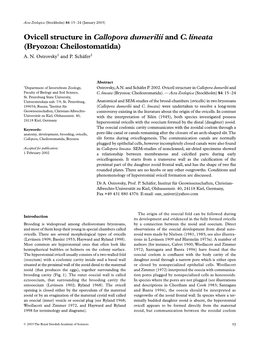 Bryozoa: Cheilostomatida) A