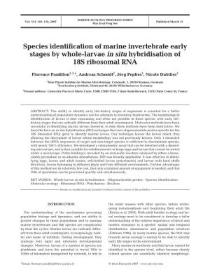 Species Identification of Marine Invertebrate Early Stages by Whole-Larvae in Situ Hybridisation of 18S Ribosomal RNA