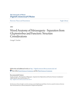 Wood Anatomy of Metasequoia - Separation from Glyptostrobus and Function/Structure Considerations George E