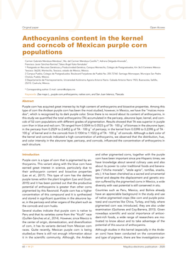 Anthocyanins Content in the Kernel and Corncob of Mexican Purple Corn Populations