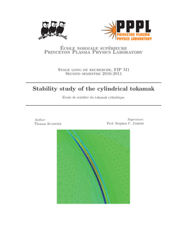 Stability Study of the Cylindrical Tokamak--Thomas Scaffidi(2011)