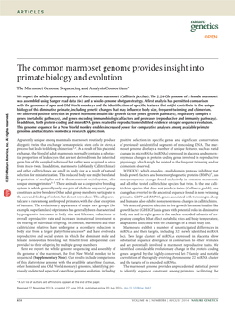 The Common Marmoset Genome Provides Insight Into Primate Biology and Evolution the Marmoset Genome Sequencing and Analysis Consortium*