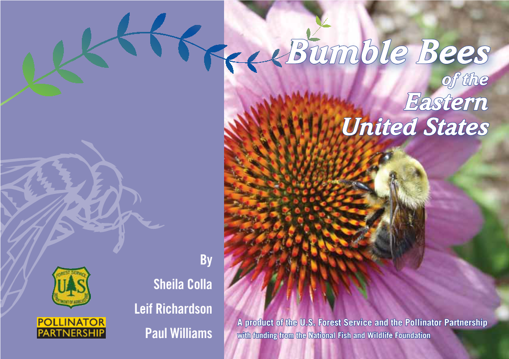 Bumble Bees of the Eastern United States