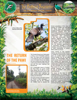 The Return of the Pawi to Our Fairly Common Along the Back Roads Neighbourhood Is an Exciting and Leading Into the Forests