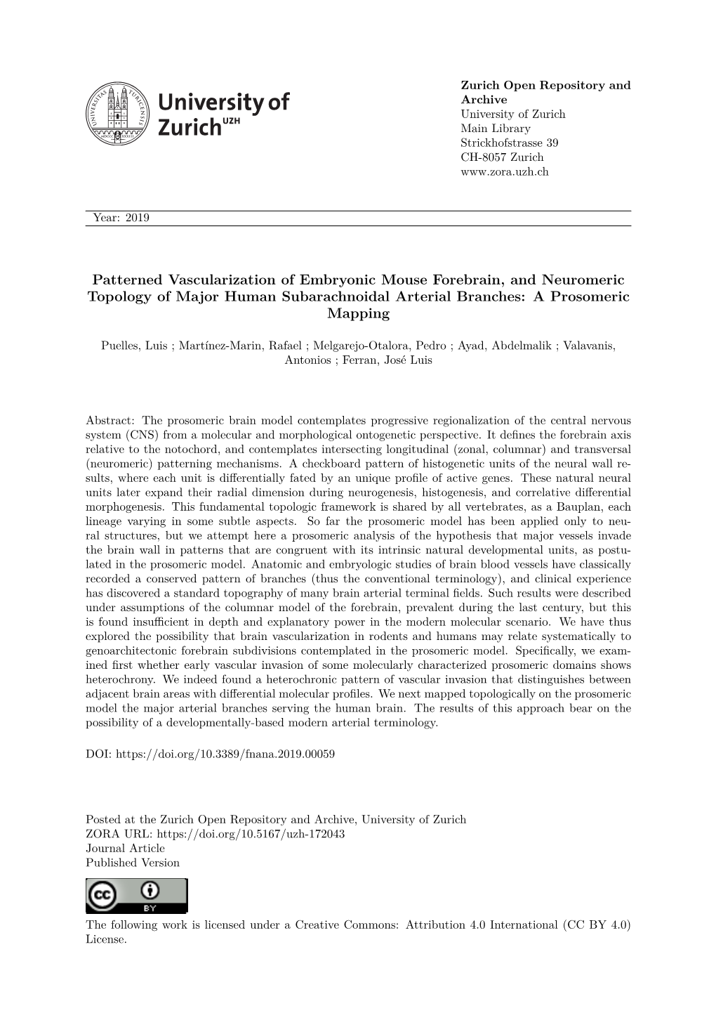 Patterned Vascularization of Embryonic Mouse Forebrain, and Neuromeric Topology of Major Human Subarachnoidal Arterial Branches: a Prosomeric Mapping