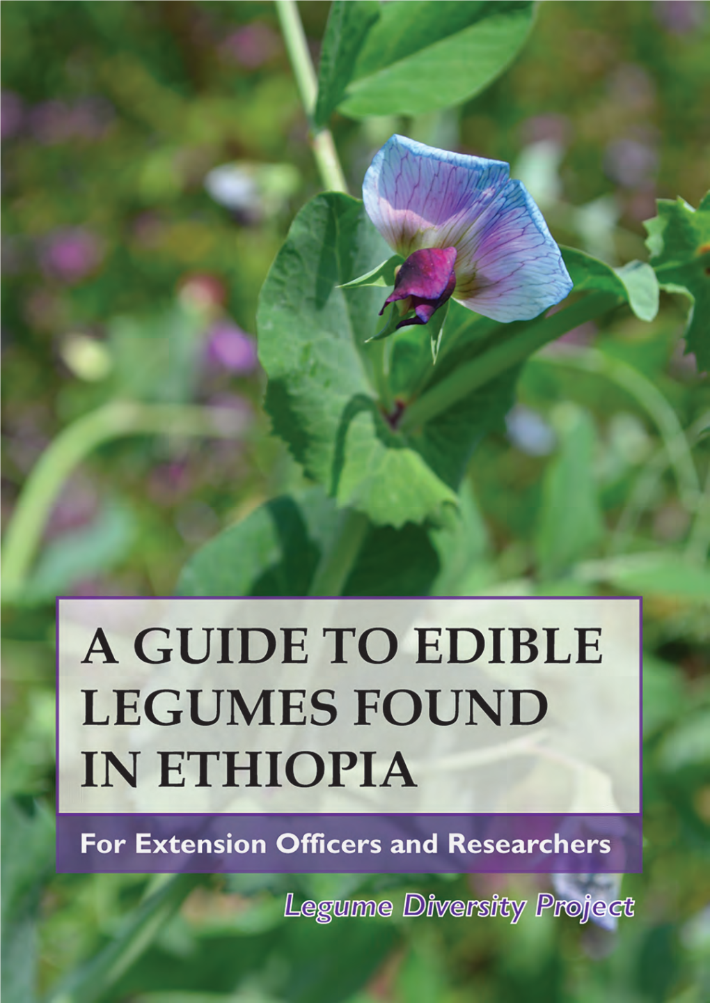 Edwards Et Al 2019 a Guide to Edible Legumes of Ethiopia Lowres
