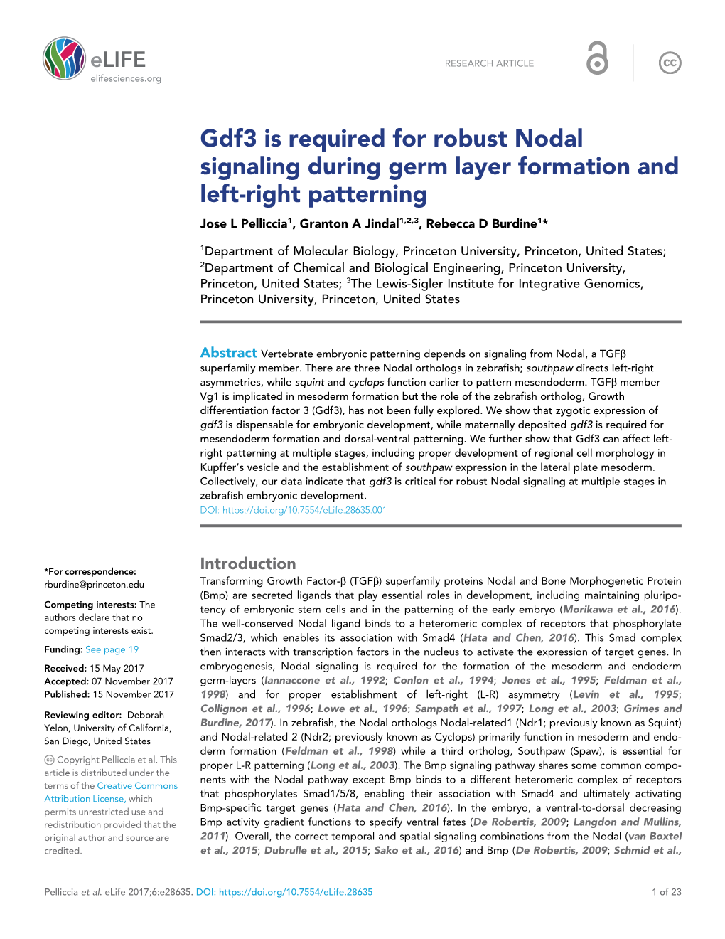 Gdf3 Is Required for Robust Nodal Signaling During Germ Layer Formation and Left-Right Patterning Jose L Pelliccia1, Granton a Jindal1,2,3, Rebecca D Burdine1*