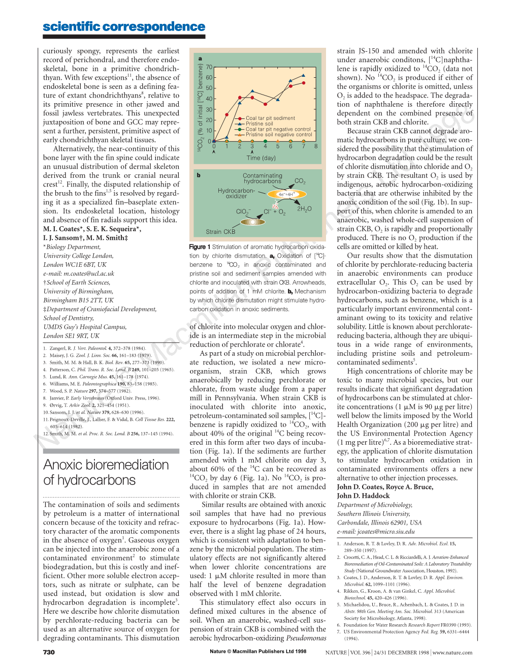 Anoxic Bioremediation of Hydrocarbons