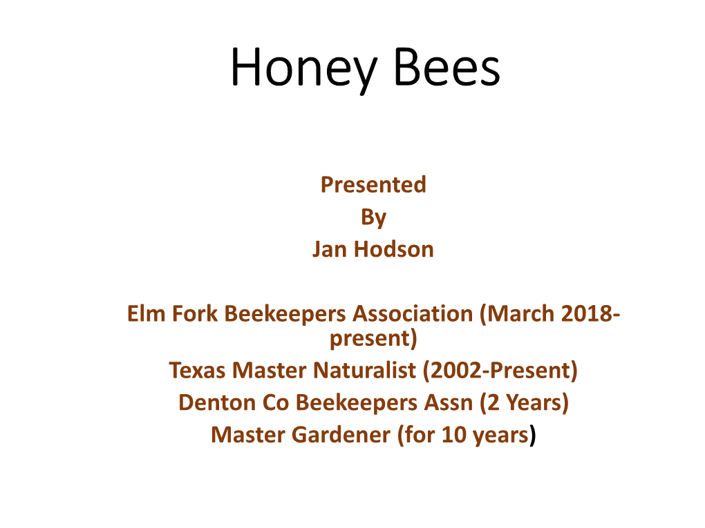 Honey & Other Bee Products