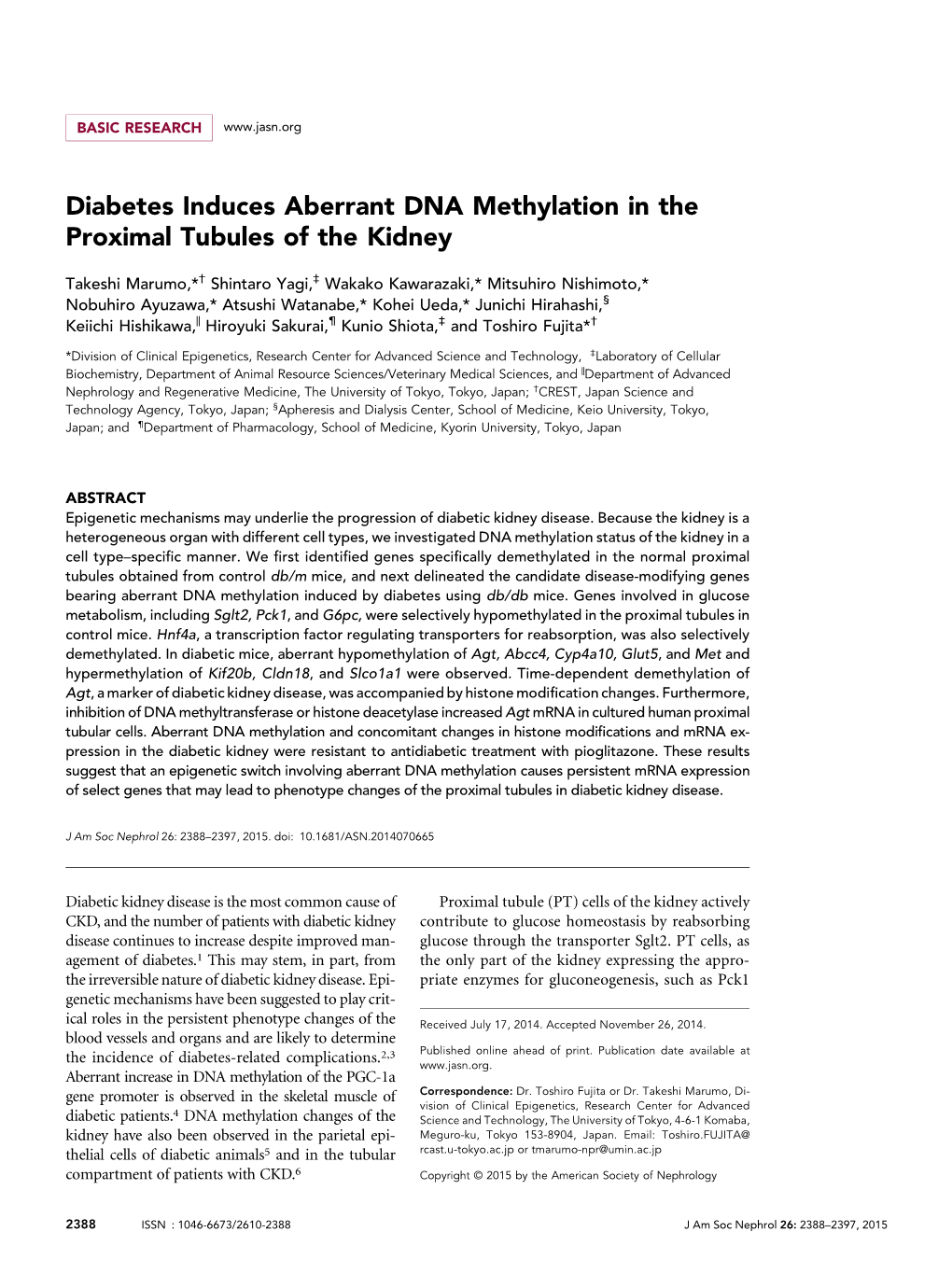 Diabetes Induces Aberrant DNA Methylation in the Proximal Tubules of the Kidney