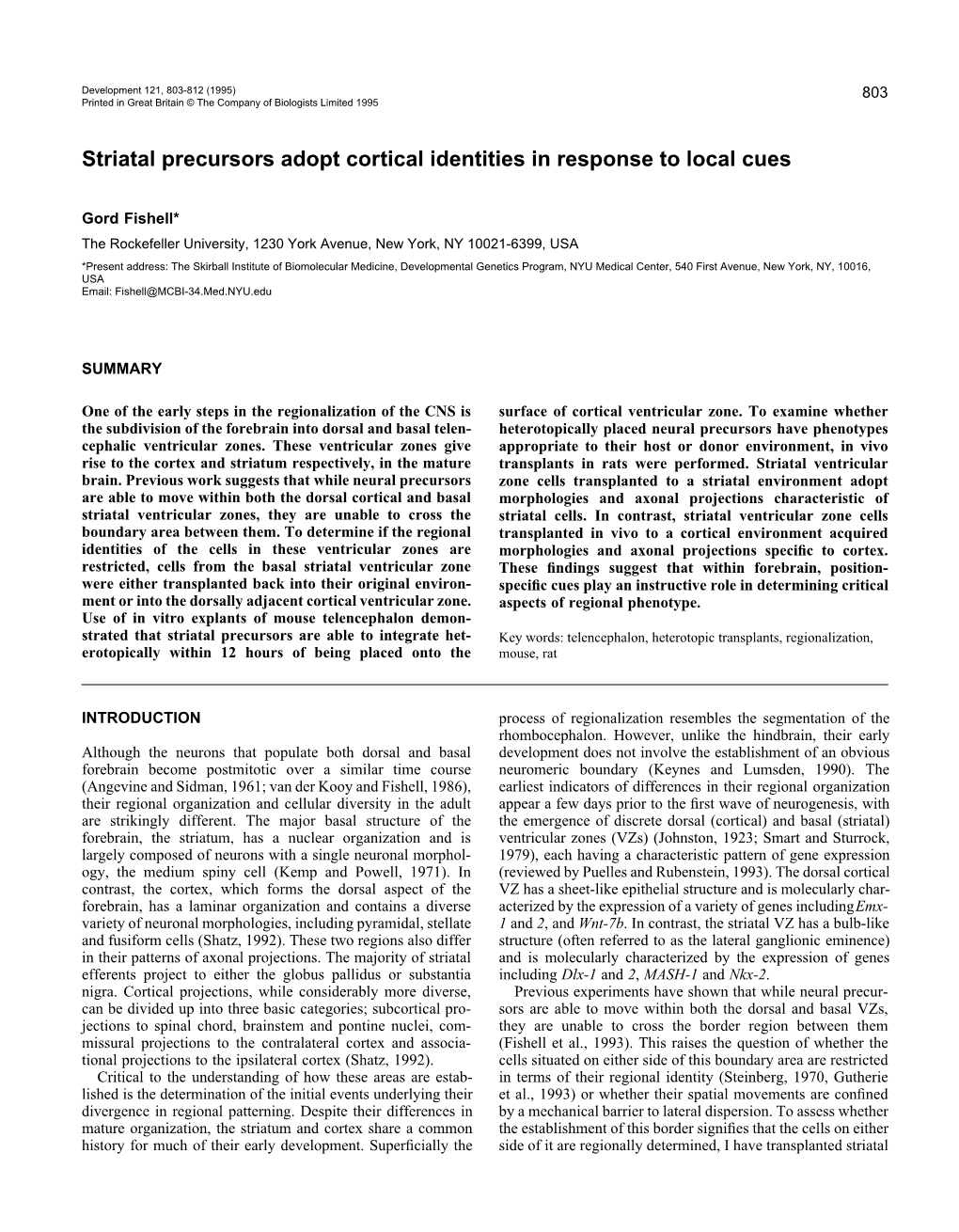 Striatal Precursors Adopt Cortical Identities in Response to Local Cues