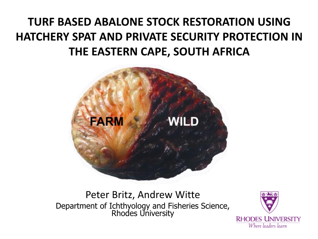 Turf Based Abalone Stock Restoration Using Hatchery Spat and Private Security Protection in the Eastern Cape, South Africa