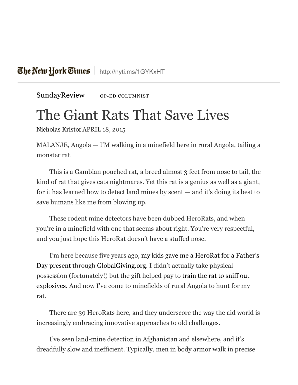 The Giant Rats That Save Lives Nicholas Kristof APRIL 18, 2015