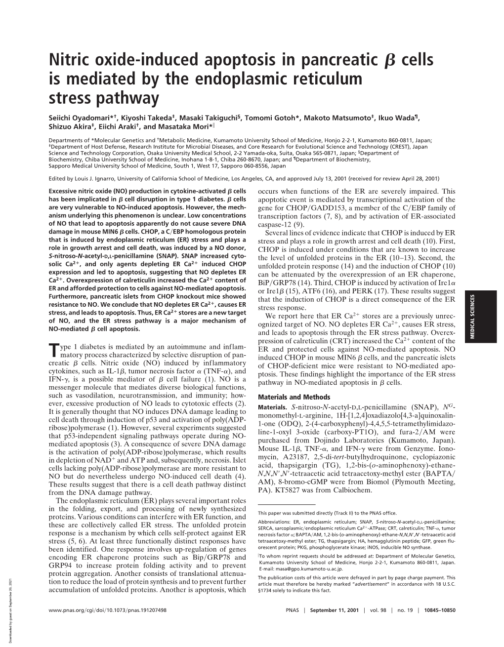 Nitric Oxide-Induced Apoptosis in Pancreatic ß Cells Is Mediated By