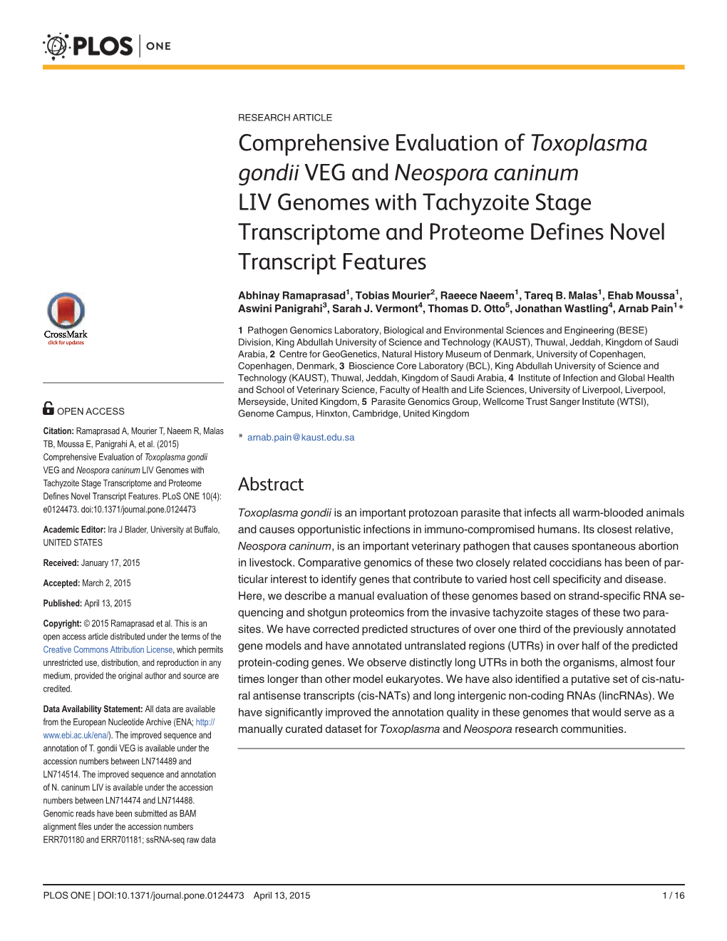 Comprehensive Evaluation of Toxoplasma Gondii VEG and Neospora Caninum LIV Genomes with Tachyzoite Stage Transcriptome and Proteome Defines Novel Transcript Features