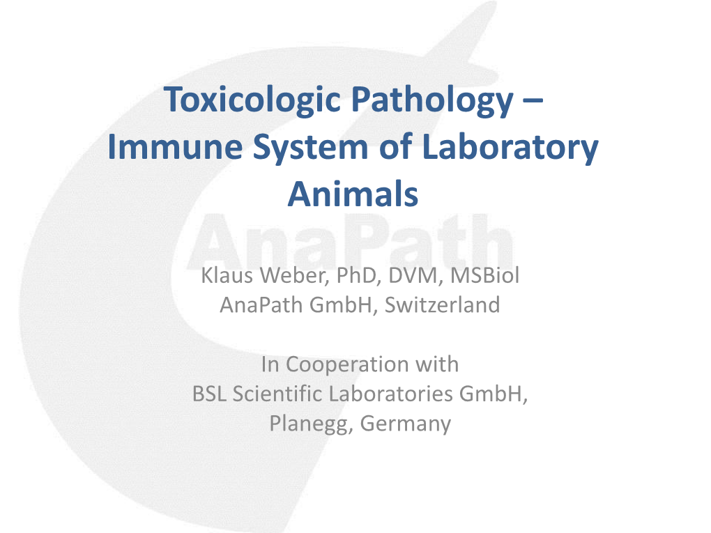 Toxicologic Pathology – Immune System of Laboratory Animals