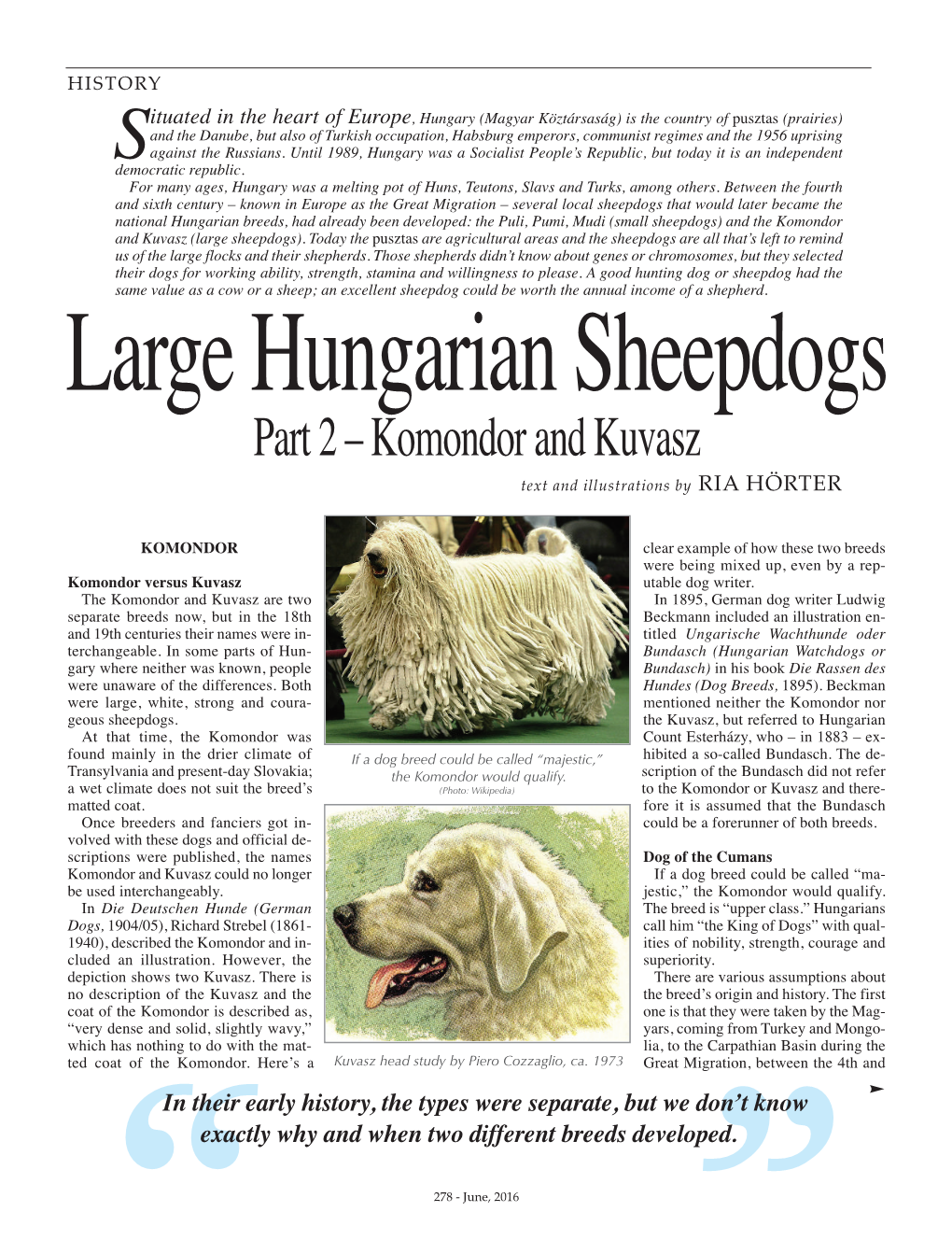 Part 2 –Komondor and Kuvasz