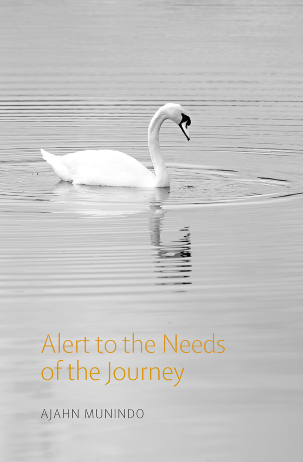 Alert to the Needs of the Journey, Those on the Path of Awareness, Like Swans, Glide On, Leaving Behind Their Former Resting Places