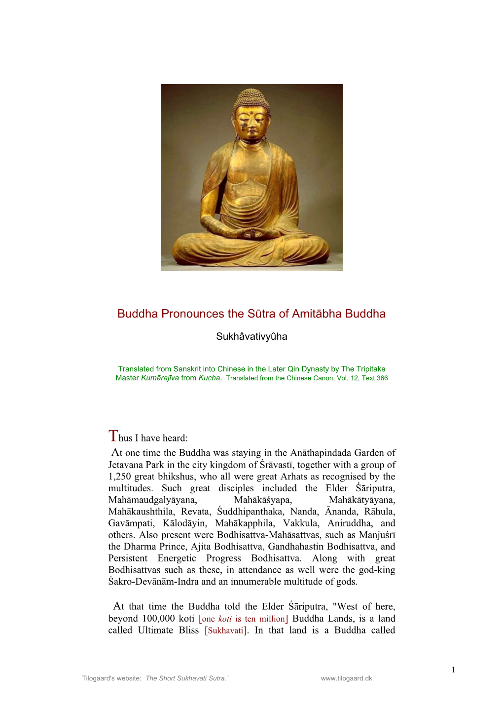 Sukhavati Sutra.´ Amitābha, Who Is Now Expounding the Dharma