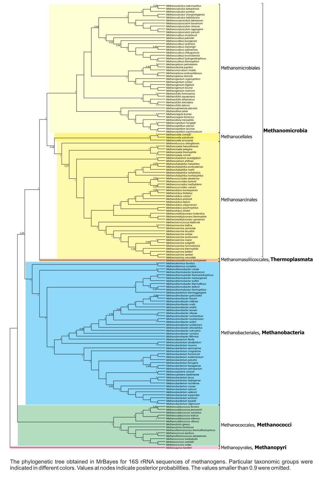Display Taxonomy in the Phylogenetic Tree