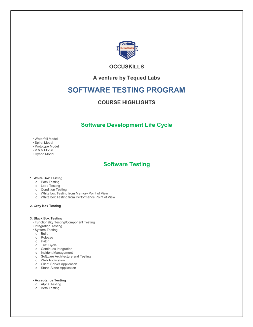 Software Testing Program